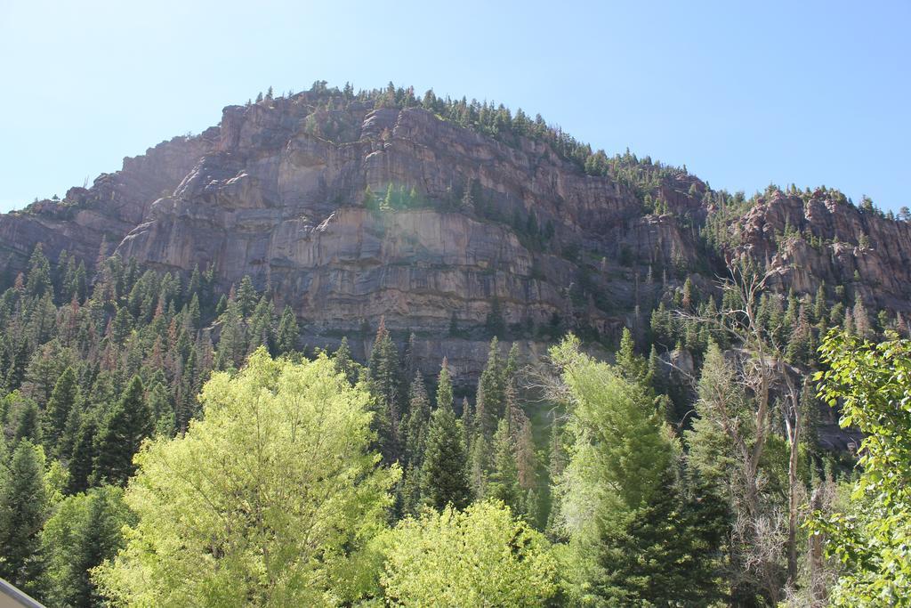 Black Bear Manor Bed & Breakfast Ouray ภายนอก รูปภาพ